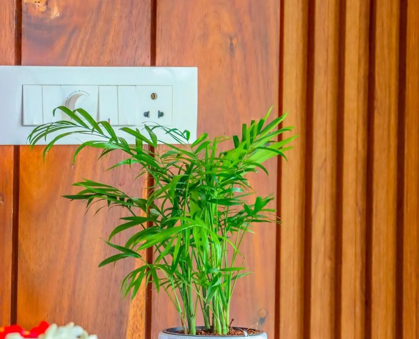 **** Hotel Winter Note Resorts Munnar India
