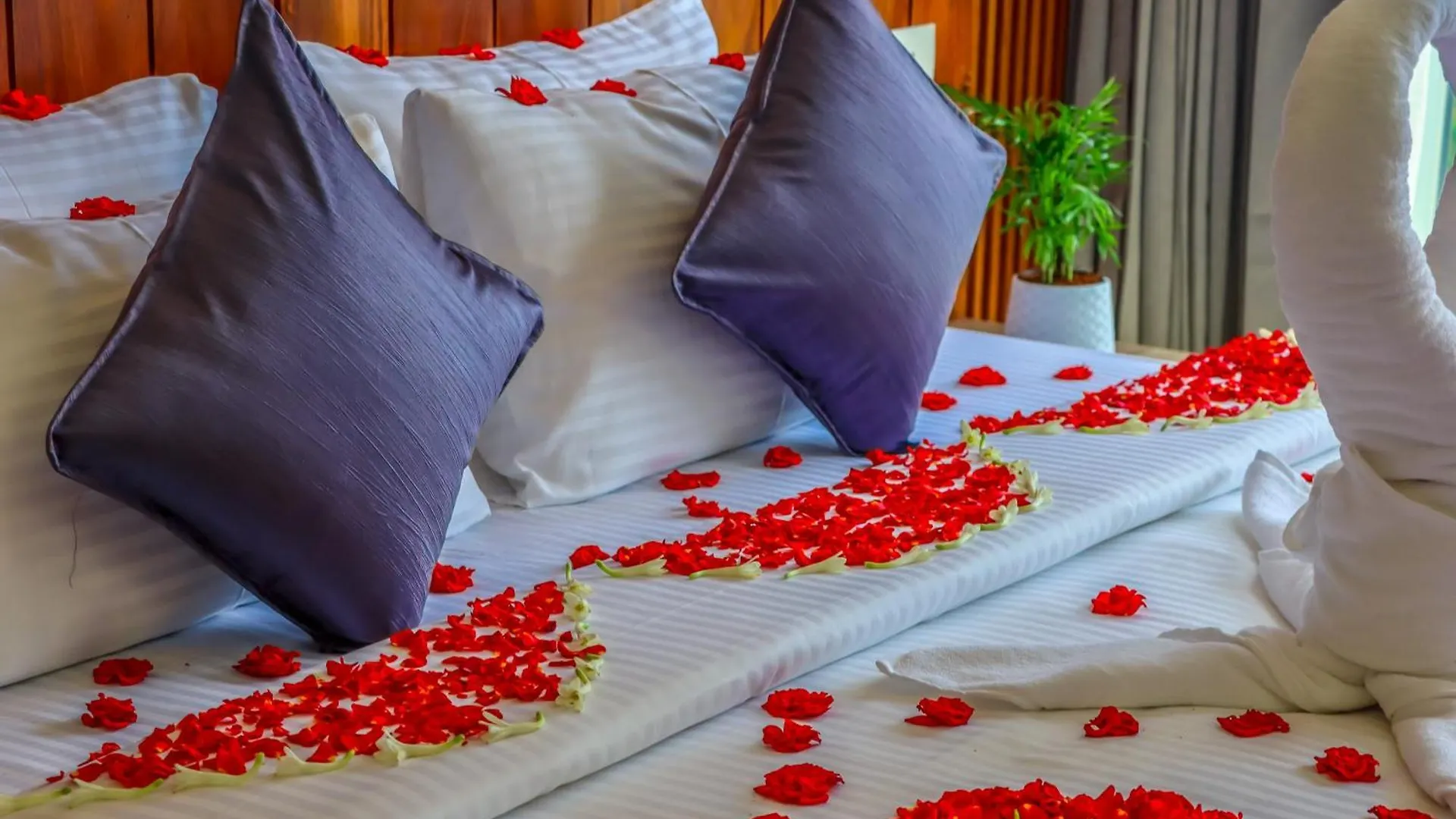 Winter Note Resorts Munnar