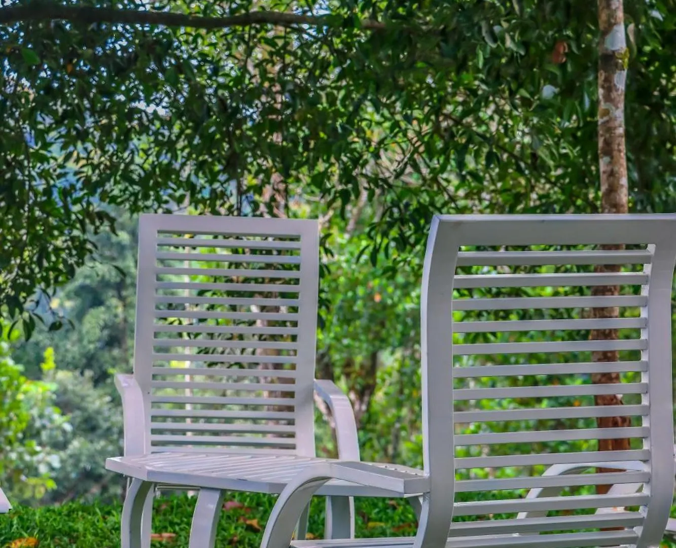 Winter Note Resorts Munnar Hotel