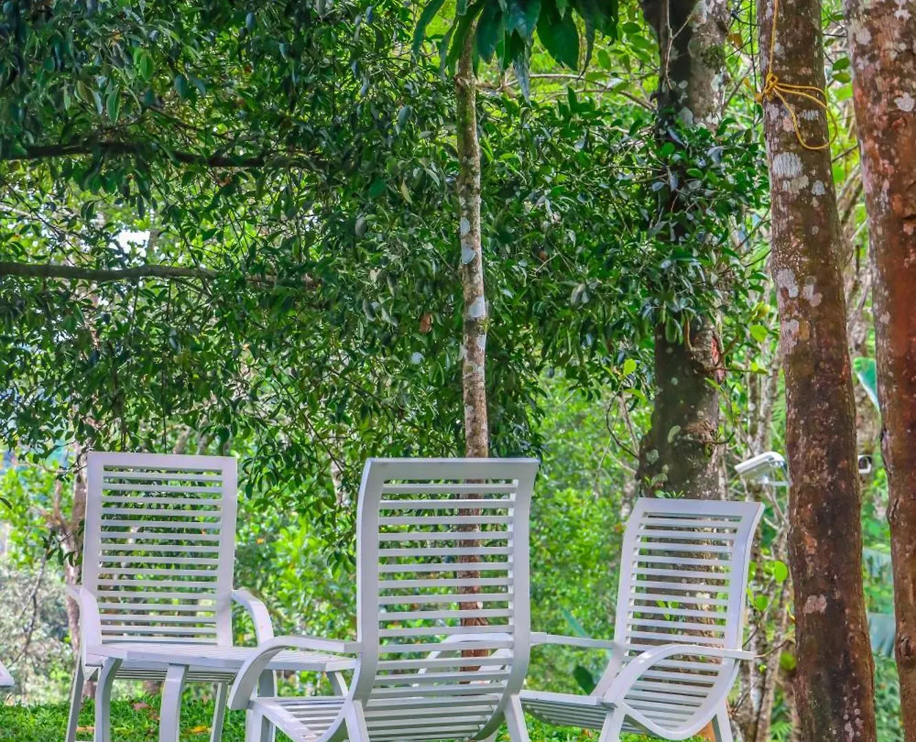 **** Hotel Winter Note Resorts Munnar India